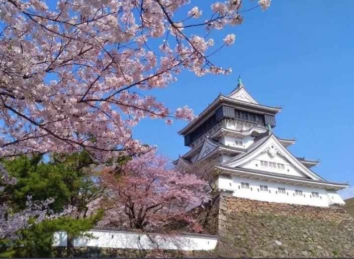 北九州市様3